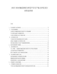 2025-2030魏武侯賬號研發平臺生產能力評估及行業資金洽談