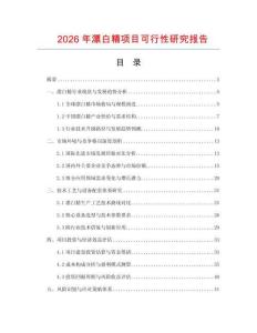 2026年漂白精項目可行性研究報告