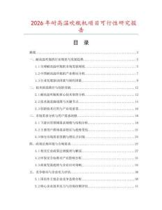 2026年耐高溫吹瓶機項目可行性研究報告