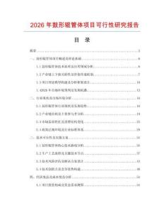 2026年鼓形輥管體項(xiàng)目可行性研究報(bào)告