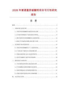 2026年普通重質碳酸鈣項目可行性研究報告