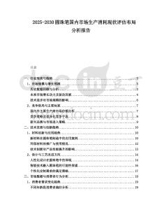 2025-2030圓珠筆國內(nèi)市場(chǎng)生產(chǎn)消耗現(xiàn)狀評(píng)估布局分析報(bào)告