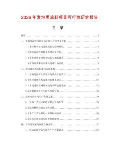 2026年发泡男凉鞋项目可行性研究报告