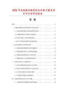 2026年五軸聯(lián)動數(shù)控鉆頭和銑刀磨床項目可行性研究報告