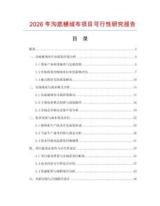 2026年沟底植绒布项目可行性研究报告