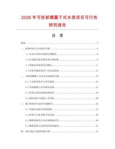 2026年可拆卸螺翼干式水表項目可行性研究報告