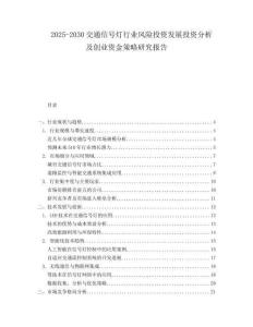 2025-2030交通信號燈行業風險投資發展投資分析及創業資金策略研究報告