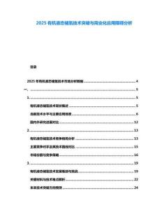 2025有機液態儲氫技術突破與商業化應用障礙分析