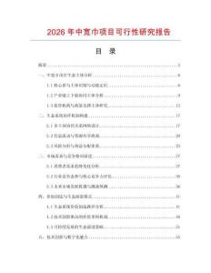 2026年中寬巾項目可行性研究報告