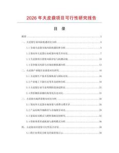 2026年夫皮袋項目可行性研究報告