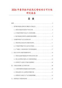 2026年豪華脈沖旋渦式噴咀項目可行性研究報告