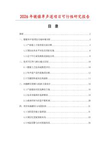 2026年镀镍单声道项目可行性研究报告