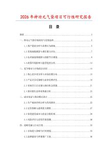 2026年神功元?dú)獯?xiàng)目可行性研究報告