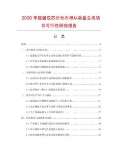 2026年超強包芯紗無石棉從動盤總成項目可行性研究報告