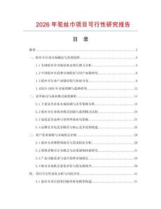 2026年駝絲巾項目可行性研究報告