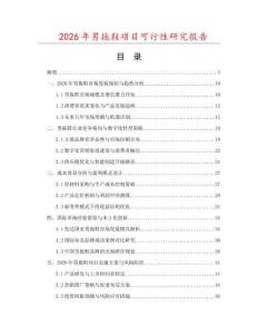 2026年男拖鞋項(xiàng)目可行性研究報(bào)告
