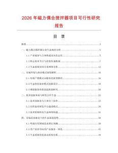 2026年磁力偶合攪拌器項(xiàng)目可行性研究報(bào)告