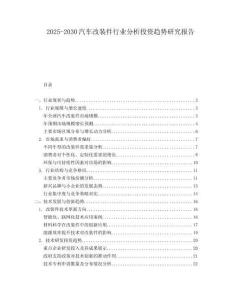 2025-2030汽車改裝件行業分析投資趨勢研究報告