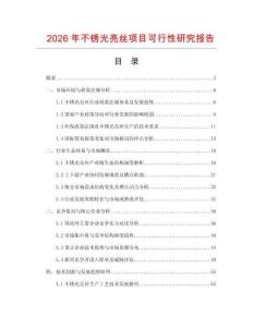 2026年不銹光亮絲項(xiàng)目可行性研究報(bào)告