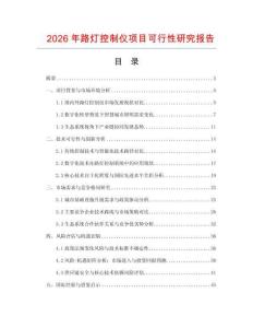 2026年路燈控制儀項目可行性研究報告