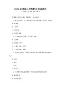 2025年模式識(shí)別與機(jī)器學(xué)習(xí)試題