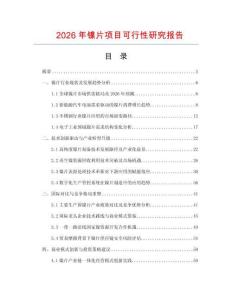 2026年鎳片項(xiàng)目可行性研究報告