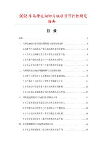 2026年马碲定向切片机项目可行性研究报告