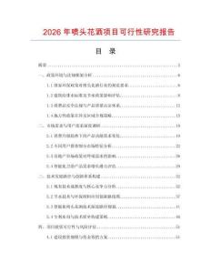 2026年噴頭花灑項目可行性研究報告