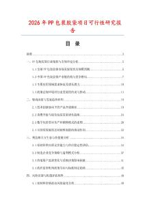 2026年P(guān)P包裝膠袋項(xiàng)目可行性研究報(bào)告