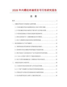 2026年內螺紋終端項目可行性研究報告