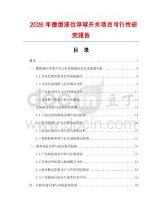 2026年微型液位浮球開關項目可行性研究報告