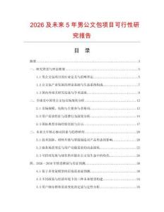 2026及未來5年男公文包項目可行性研究報告