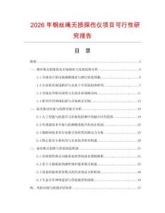 2026年鋼絲繩無損探傷儀項目可行性研究報告