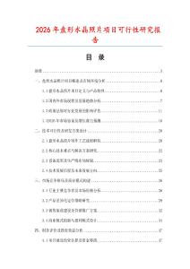 2026年盤(pán)形水晶照片項(xiàng)目可行性研究報(bào)告