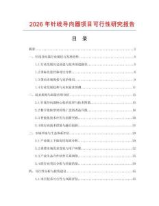 2026年針線導(dǎo)向器項(xiàng)目可行性研究報(bào)告