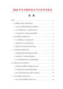 2026年百潔碟刷項目可行性研究報告