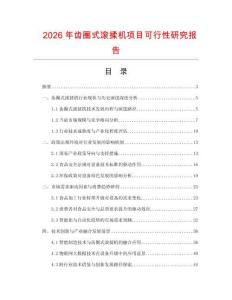 2026年齒圈式滾揉機項目可行性研究報告
