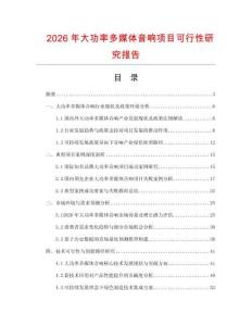 2026年大功率多媒体音响项目可行性研究报告