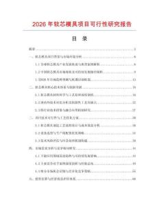 2026年軟芯模具項(xiàng)目可行性研究報(bào)告