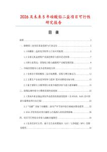 2026及未來5年硅酸鉛二鹽項(xiàng)目可行性研究報(bào)告