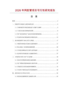 2026年網(wǎng)膠管項(xiàng)目可行性研究報(bào)告