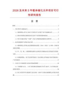 2026及未來5年載體催化元件項(xiàng)目可行性研究報(bào)告