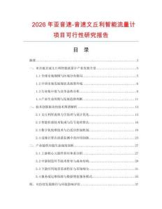 2026年亚音速-音速文丘利智能流量计项目可行性研究报告