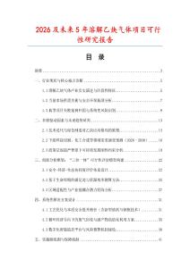 2026及未來5年溶解乙炔氣體項(xiàng)目可行性研究報(bào)告