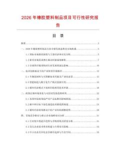2026年橡膠塑料制品項(xiàng)目可行性研究報(bào)告