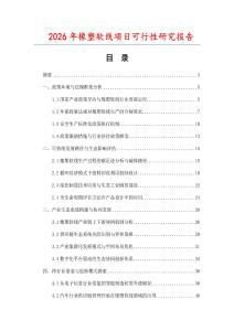 2026年橡塑軟線項(xiàng)目可行性研究報(bào)告