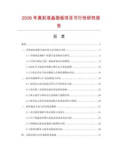 2026年真彩液晶面板項(xiàng)目可行性研究報(bào)告