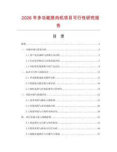 2026年多功能攪肉機項目可行性研究報告