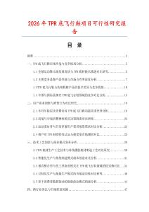 2026年TPR底飛行鞋項(xiàng)目可行性研究報(bào)告