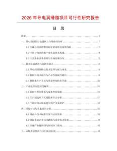 2026年導(dǎo)電潤(rùn)滑脂項(xiàng)目可行性研究報(bào)告